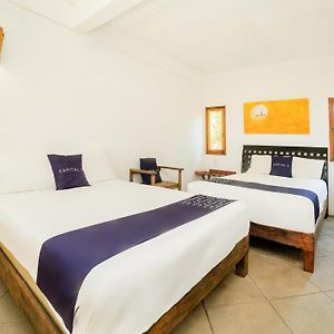 Suite Estándar